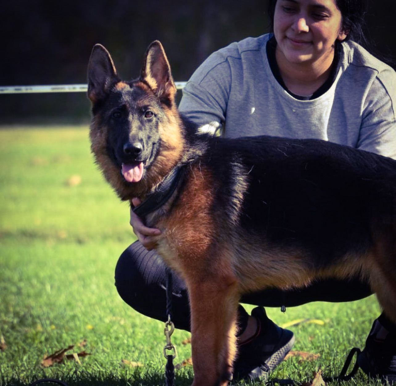 German shepherd obedience training near shops me